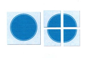 When an ordinary picture is cut into pieces, we know that each piece will show only a part of the original picture